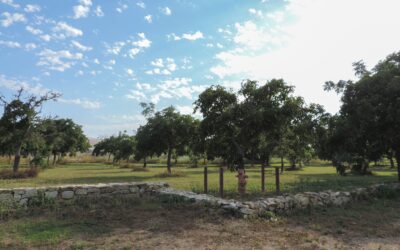 Climate Change Harms Local California Farms