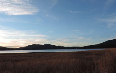 Cabin Adventures and Mindfulness