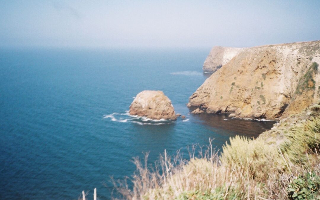 Santa Cruz Island on Film