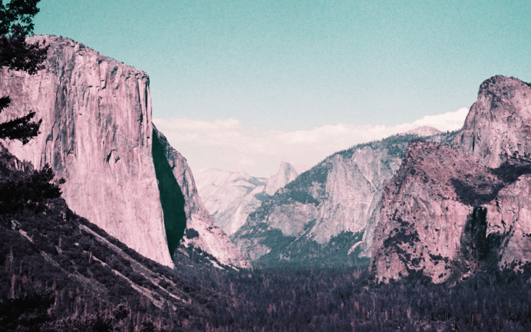 Summer Yosemite Stories and Film Photography