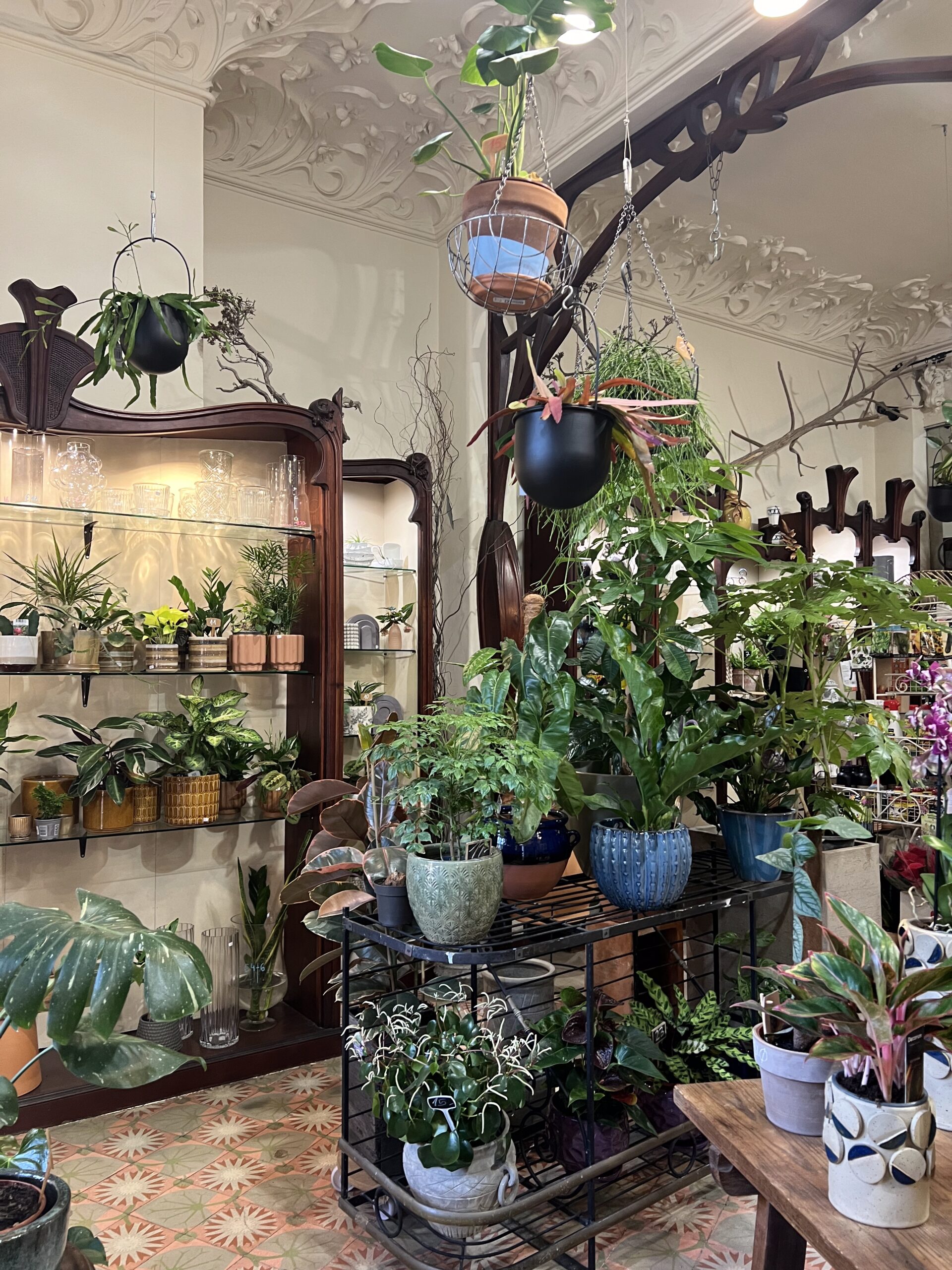 The Science Behind the Good Vibes of Houseplants