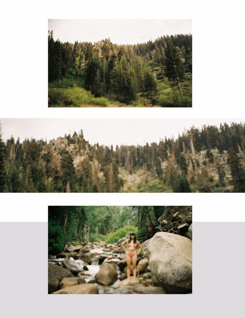 Sequoia Film 2025